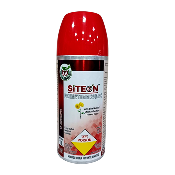 SITEON