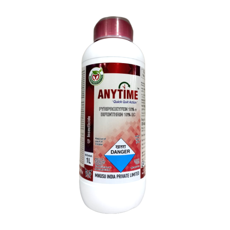 ANYTIME