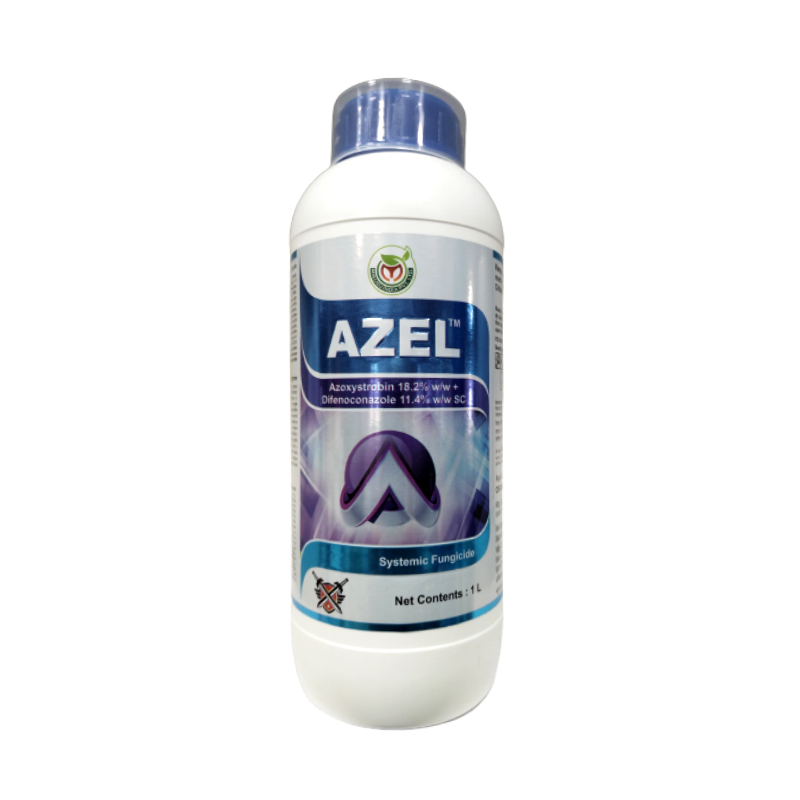 AZEL