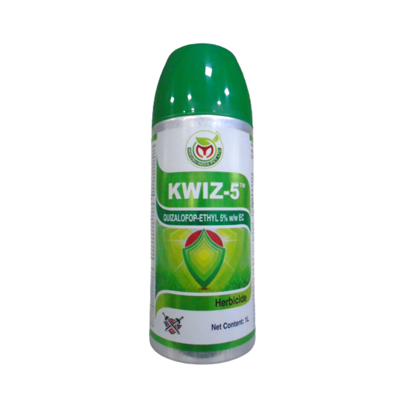 KWIZ-5