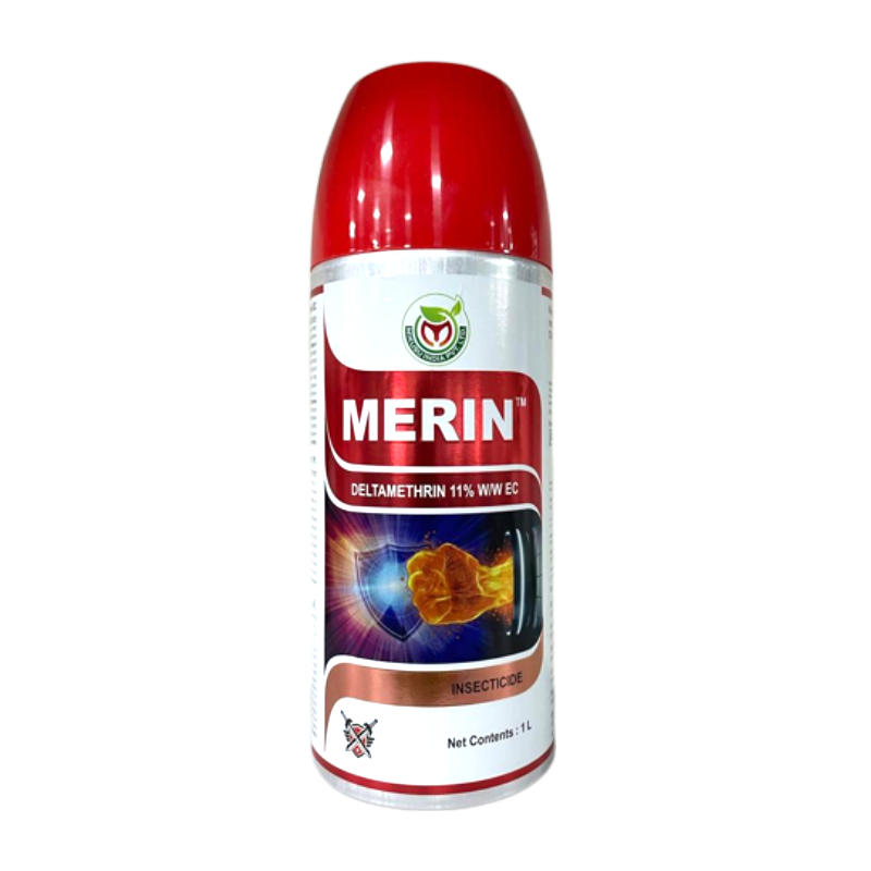 MERIN