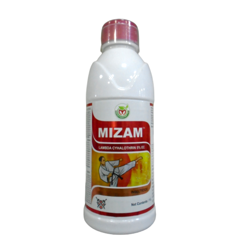 MIZAM