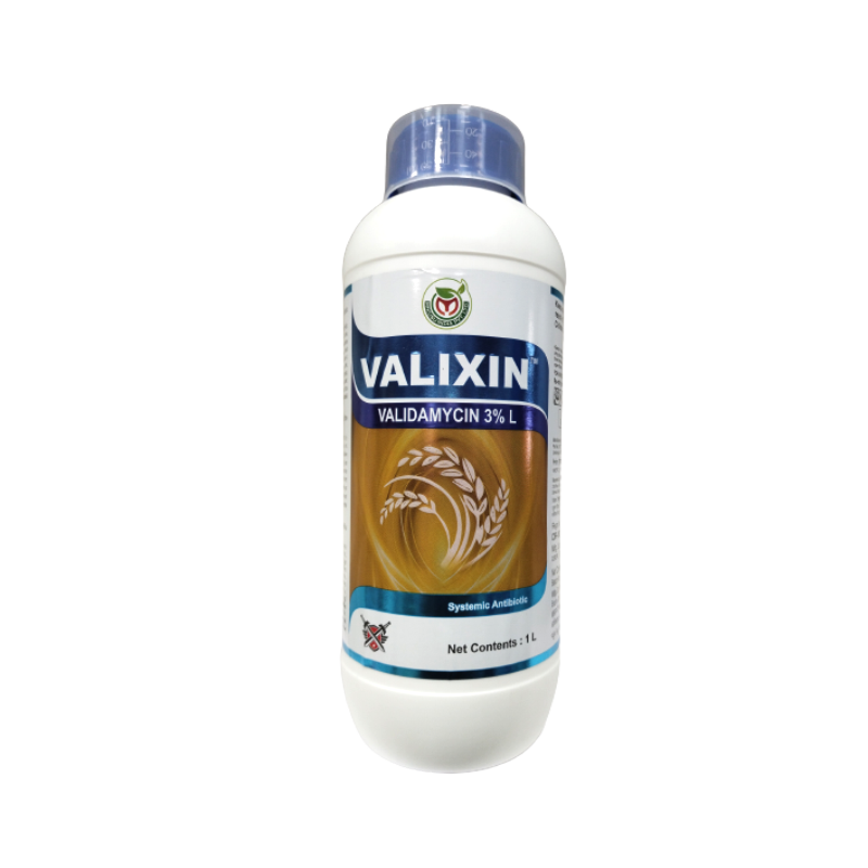 VALIXIN